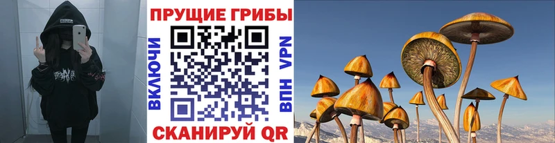 Галлюциногенные грибы мицелий  mega ТОР  Сычёвка  где можно купить  